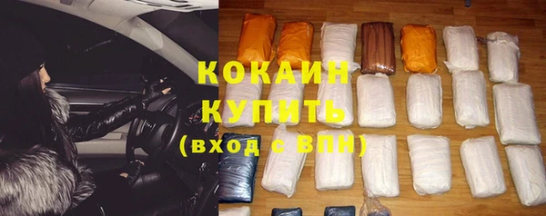сатива Абаза