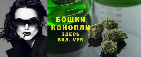 сатива Абаза