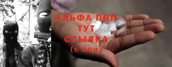 сатива Абаза