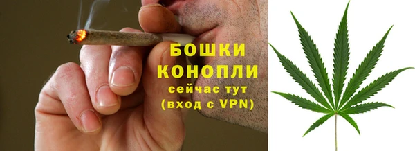 сатива Абаза