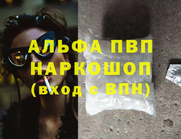 сатива Абаза