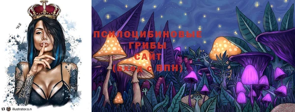 ГАЛЛЮЦИНОГЕННЫЕ ГРИБЫ Абдулино