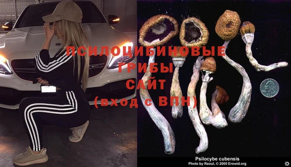 эйфоретик Абинск