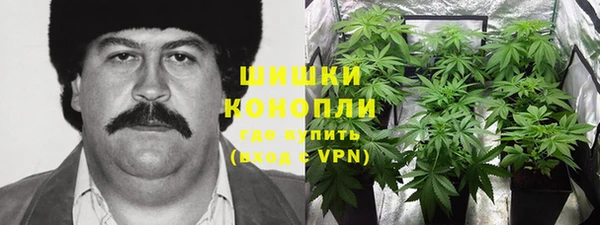 сатива Абаза